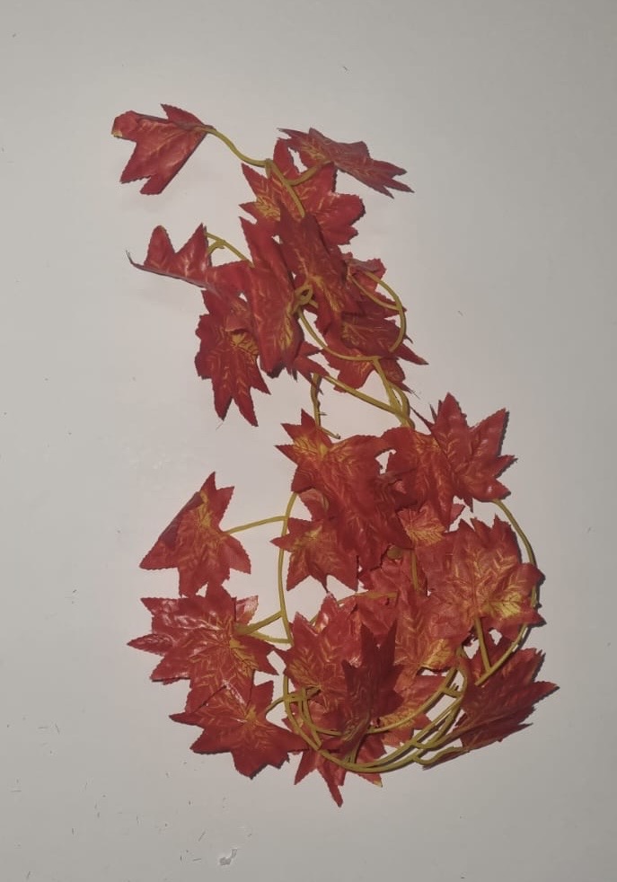 Maple Vine